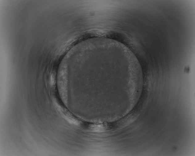 X0000115370131200911241249
