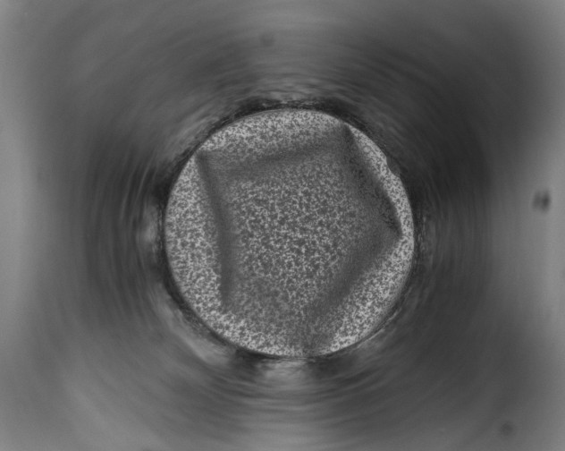 X0000115370132200911241249