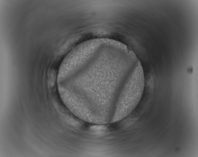 X0000115370133200911241249