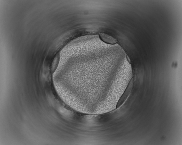 X0000115370136200911241249
