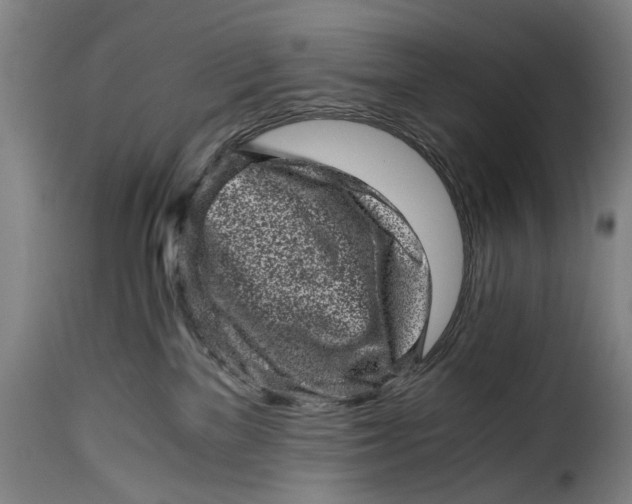 X0000115370137200911241249