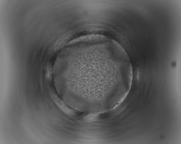 X0000115370138200911241249
