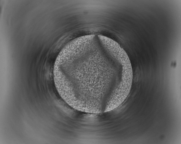 X0000115370140200911241249