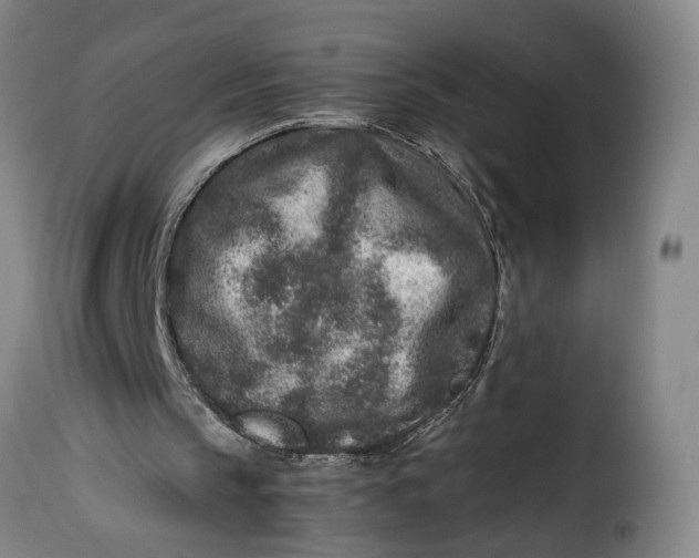X0000115370145200911241248