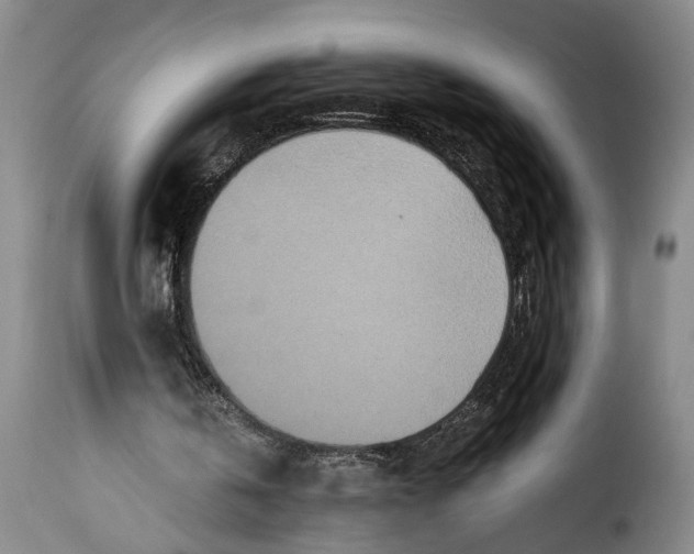 X0000115370146200911241248