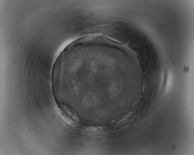 X0000115370147200911241248