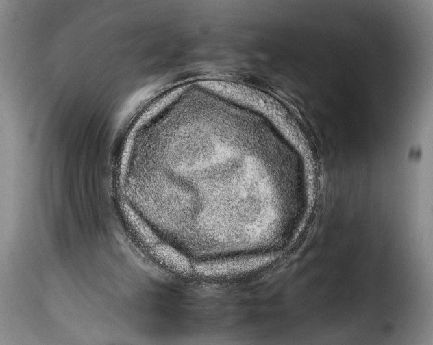 X0000115370149200911241248