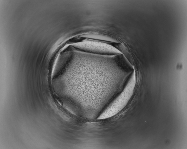 X0000115370150200911241248
