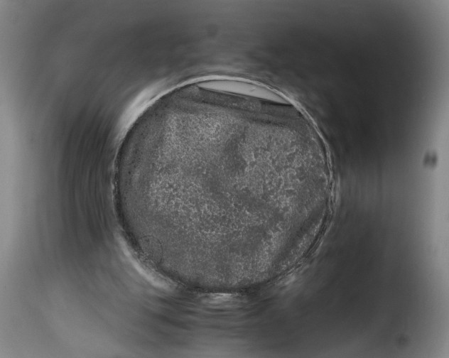 X0000115370151200911241248