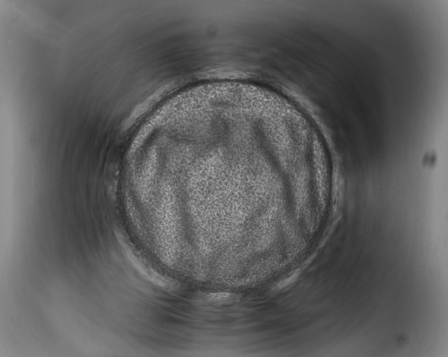 X0000115370153200911241248