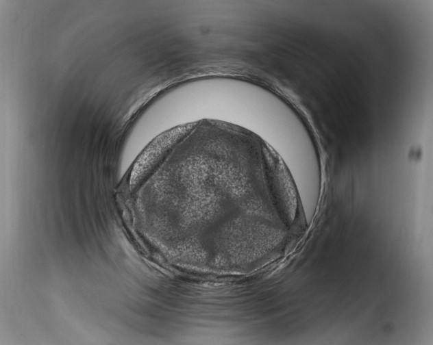 X0000115370154200911241248