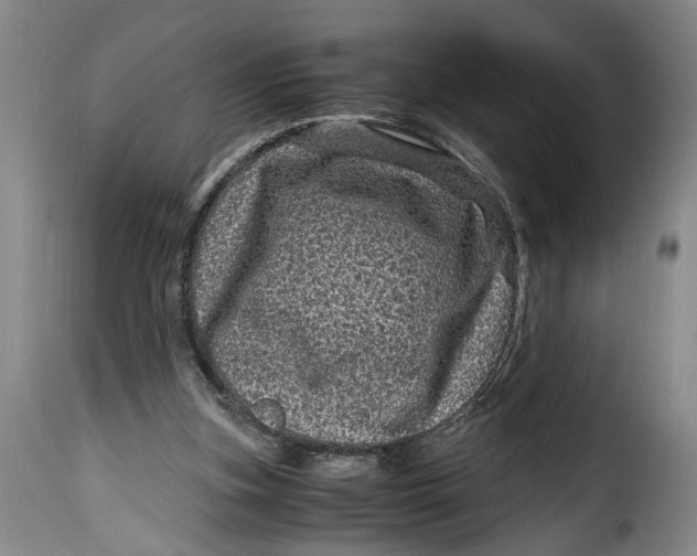 X0000115370155200911241248
