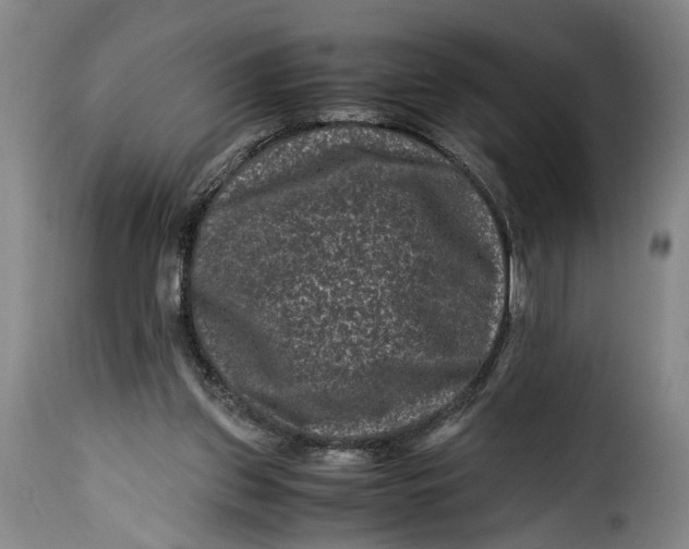 X0000115370157200911241248