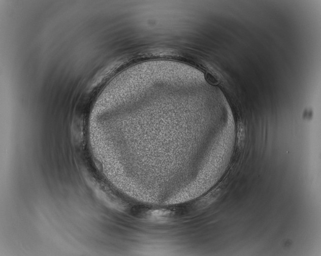 X0000115370158200911241248