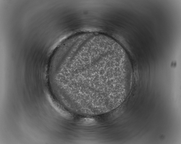 X0000115370159200911241248