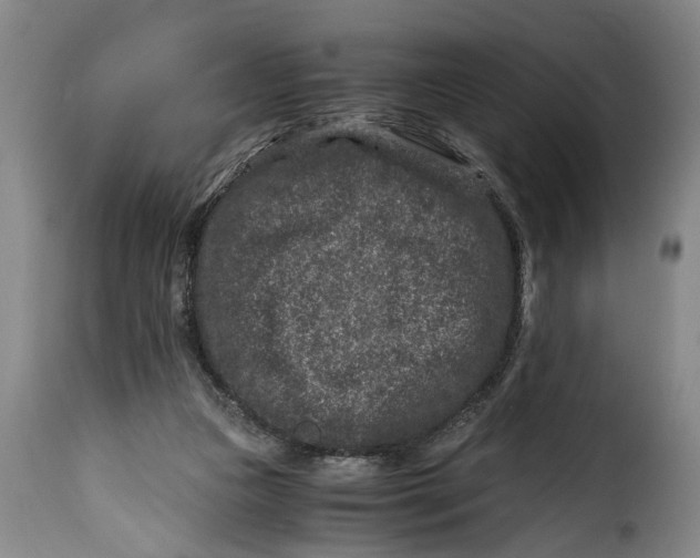 X0000115370161200911241248