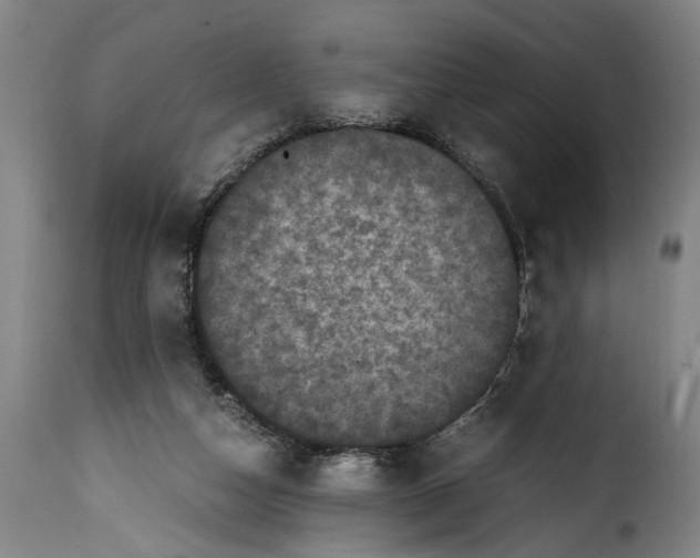 X0000115370162200911241248