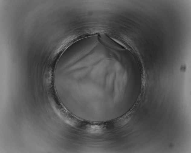 X0000115370163200911241248