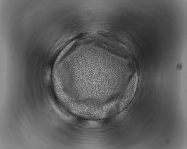 X0000115370166200911241248