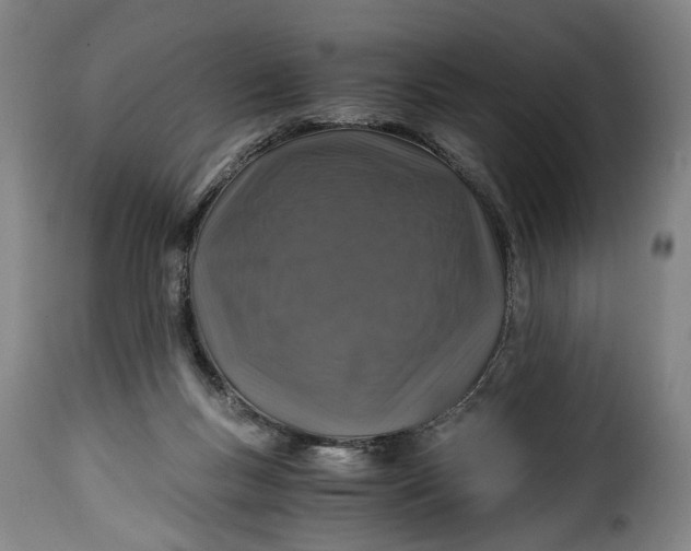 X0000115370167200911241248