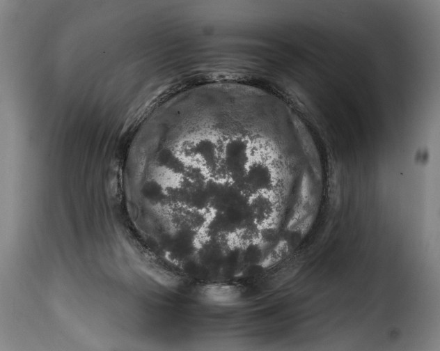 X0000115370169200911241248