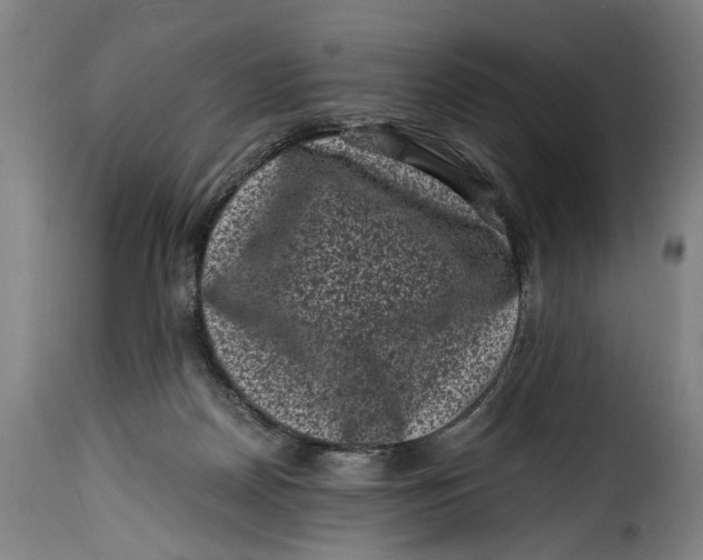 X0000115370170200911241248