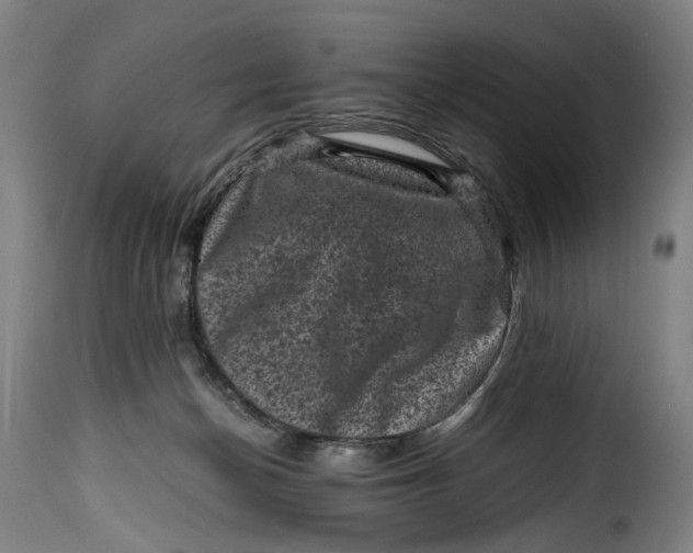 X0000115370174200911241248