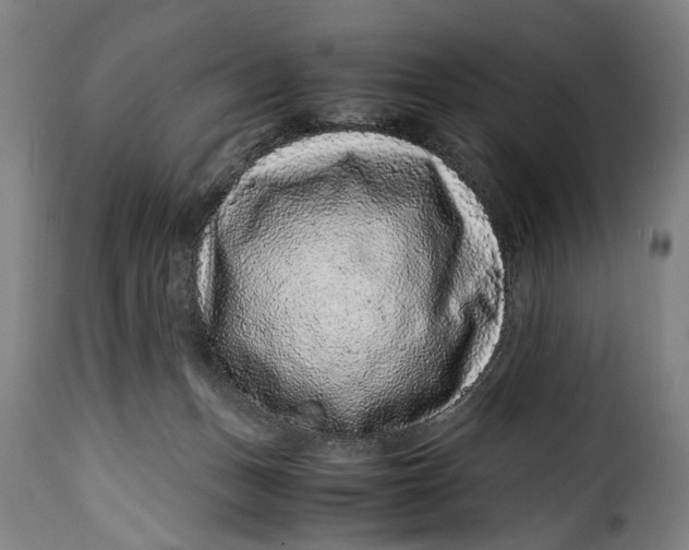 X0000115370175200911241248