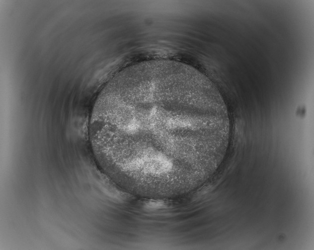 X0000115370177200911241248