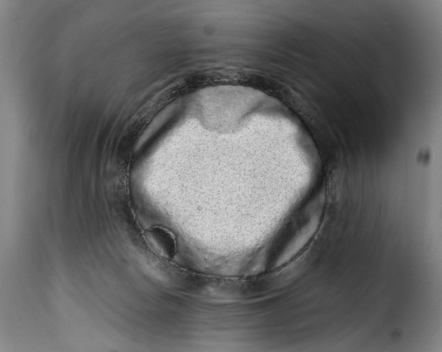 X0000115370178200911241248