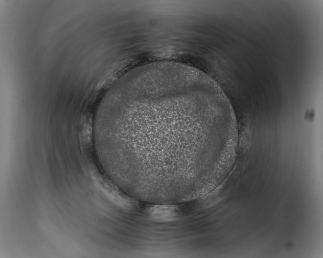 X0000115370179200911241248