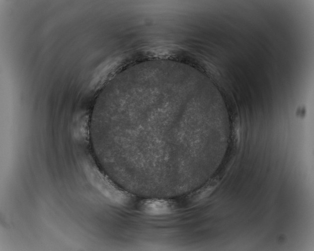 X0000115370181200911241249
