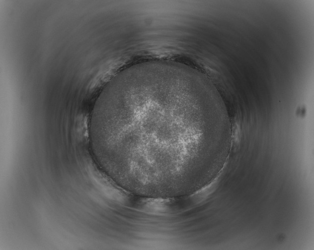 X0000115370182200911241249