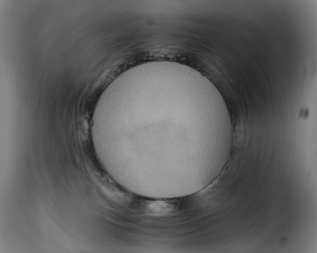 X0000115370183200911241249