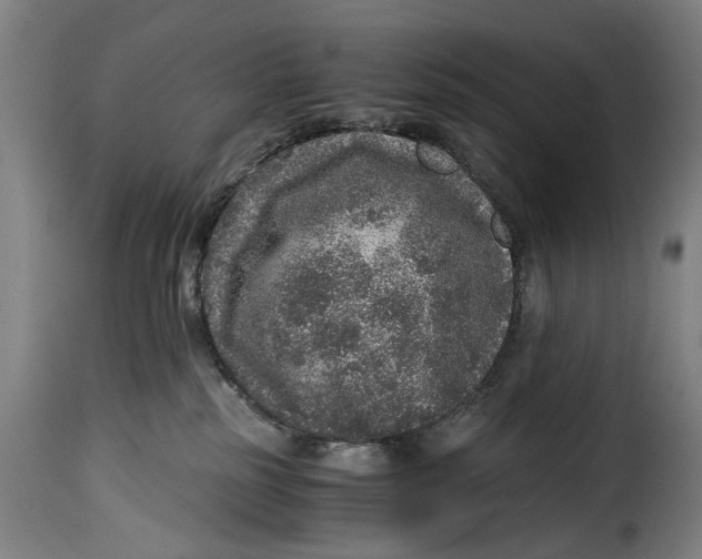 X0000115370185200911241249