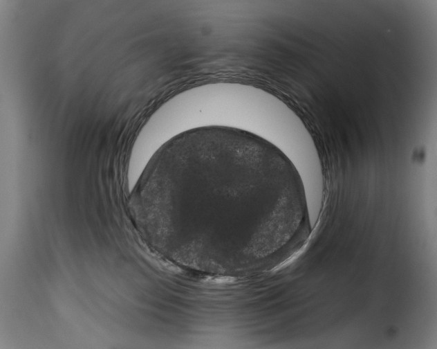 X0000115370186200911241249