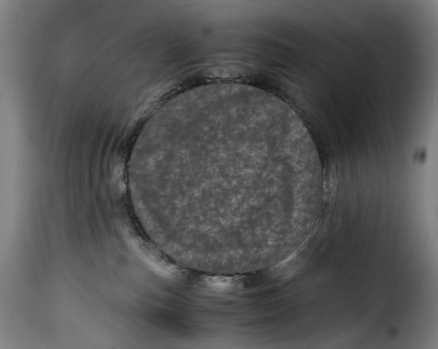 X0000115370187200911241249