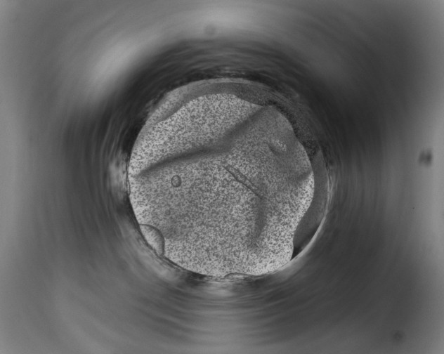 X0000115370190200911241249