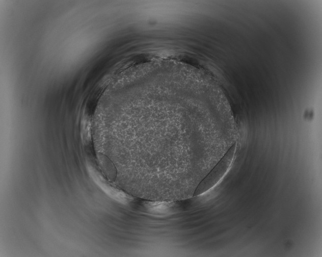 X0000115370191200911241249