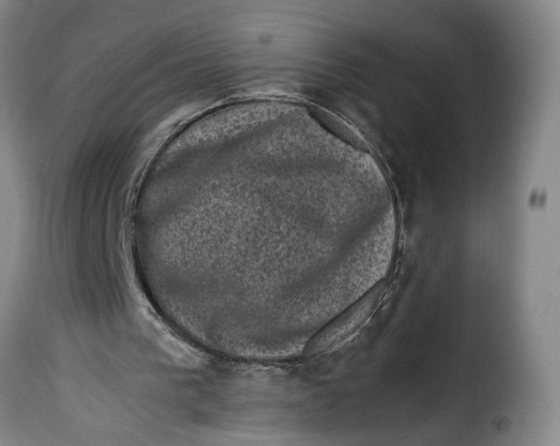 X0000115370193200911241248