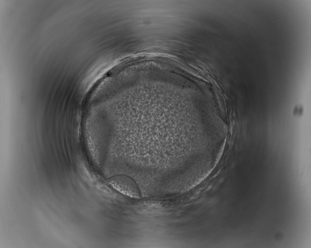 X0000115370194200911241248