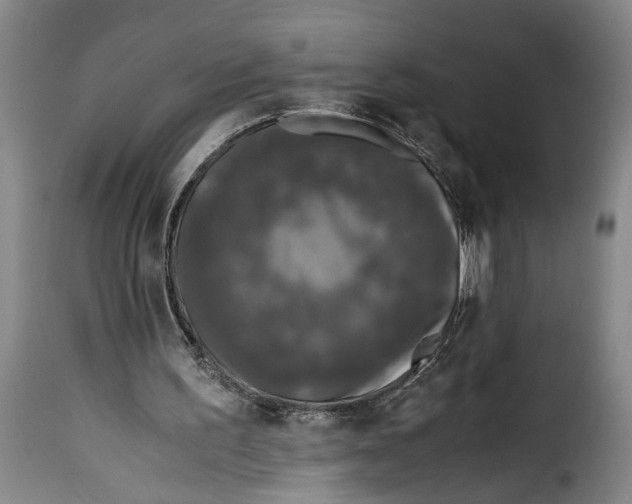 X0000115370195200911241248