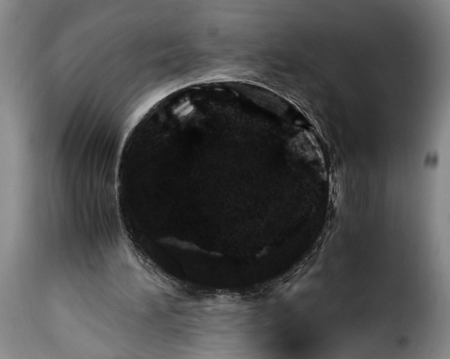 X0000115370196200911241248