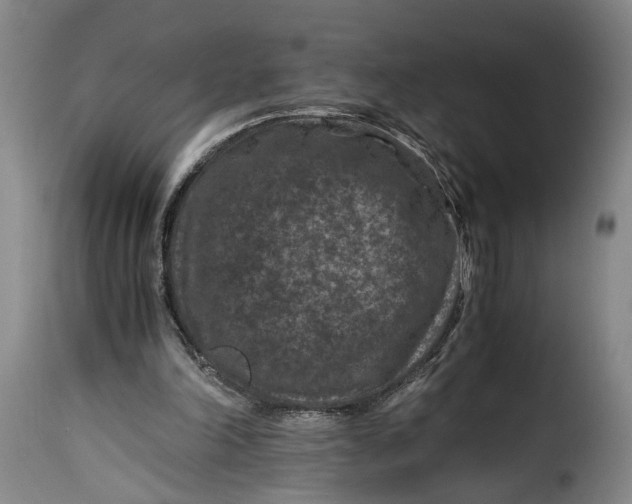 X0000115370198200911241248