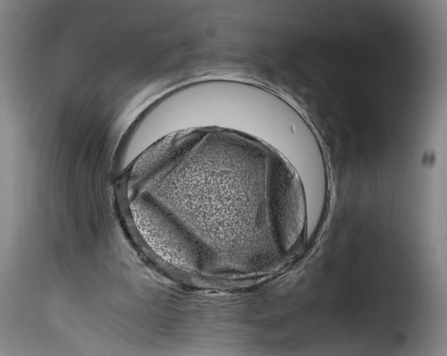 X0000115370199200911241248