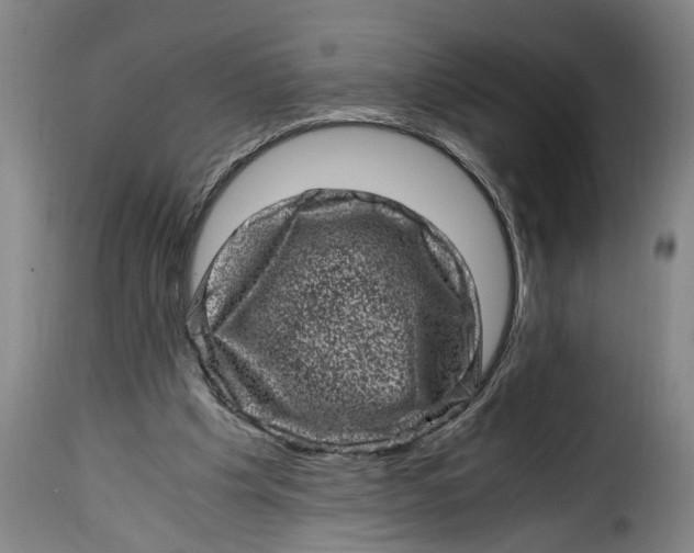 X0000115370201200911241248