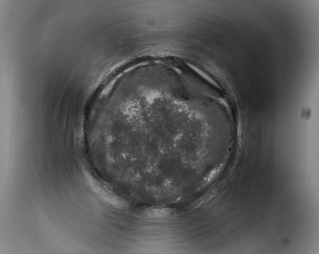 X0000115370202200911241248