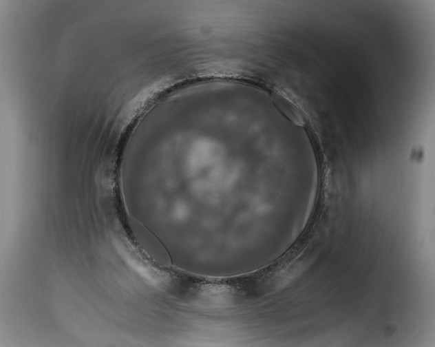 X0000115370203200911241248