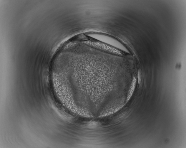 X0000115370204200911241248