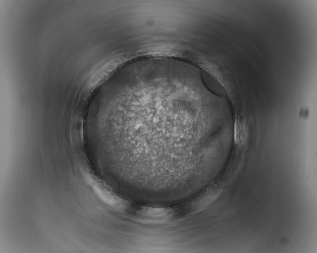 X0000115370205200911241248